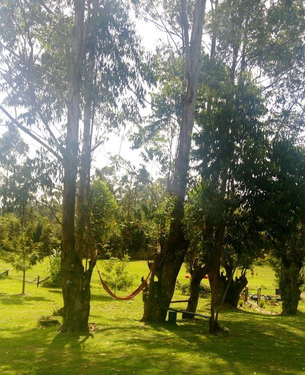 Kalitusi Nature Resort Fort Portal Exterior foto